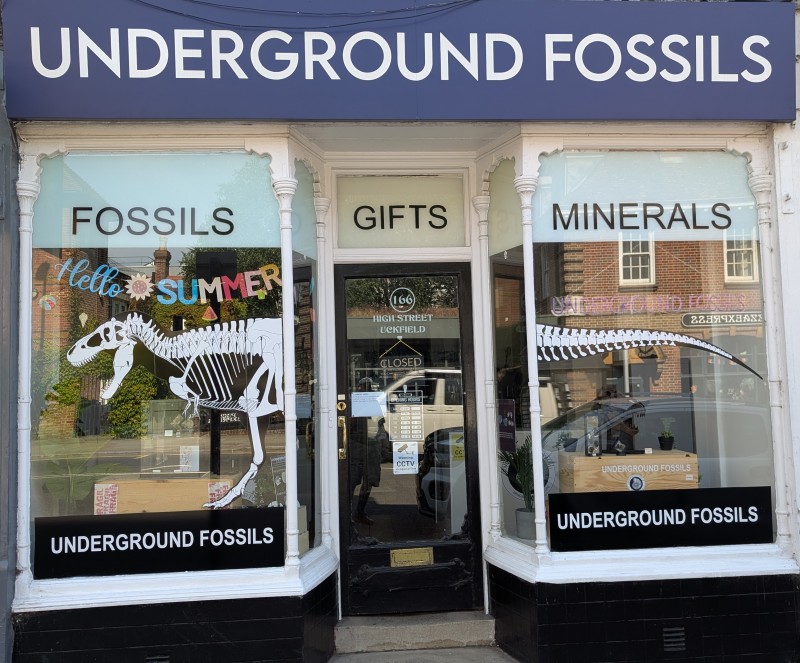 Undergroumd Fossils