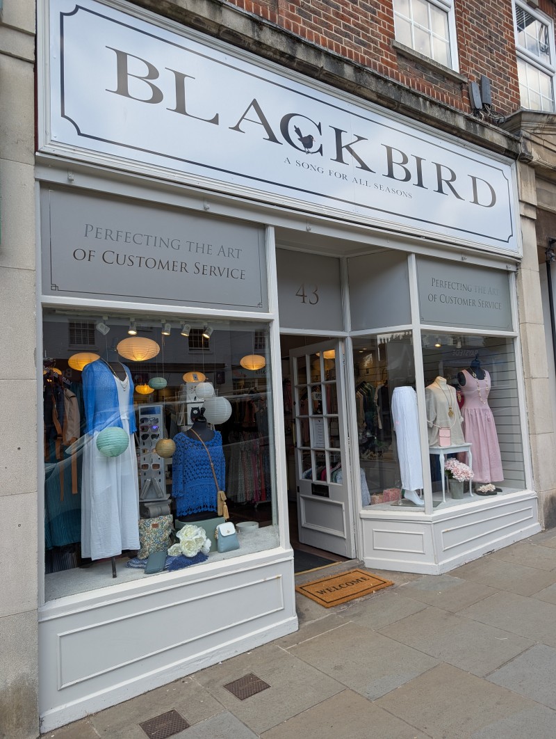 Blackbird
